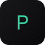 Pain Base logo